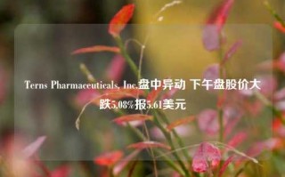 Terns Pharmaceuticals, Inc.盘中异动 下午盘股价大跌5.08%报5.61美元