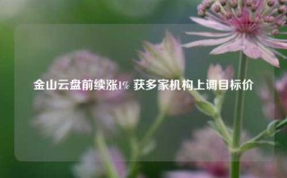 金山云盘前续涨1% 获多家机构上调目标价