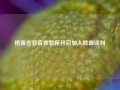 格鲁吉亚宣布暂停开启加入欧盟谈判