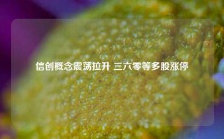 信创概念震荡拉升 三六零等多股涨停