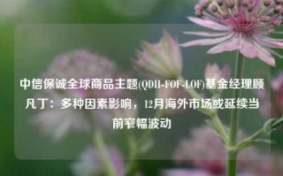 中信保诚全球商品主题(QDII-FOF-LOF)基金经理顾凡丁：多种因素影响，12月海外市场或延续当前窄幅波动