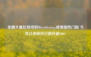 坐拥大量比特币的MicroStrategy成美国热门股 今年以来股价已飙升逾500%