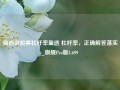 盈透做股票杠杆率盈透 杠杆率，正确解答落实_旗舰Pro版4.699