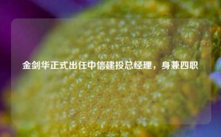 金剑华正式出任中信建投总经理，身兼四职