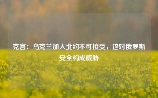 克宫：乌克兰加入北约不可接受，这对俄罗斯安全构成威胁