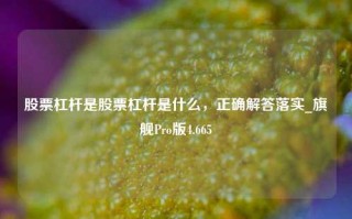 股票杠杆是股票杠杆是什么，正确解答落实_旗舰Pro版4.665