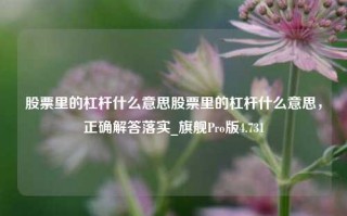 股票里的杠杆什么意思股票里的杠杆什么意思，正确解答落实_旗舰Pro版4.731