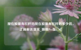 现在股票有杠杆吗现在股票有杠杆吗多少钱，正确解答落实_旗舰Pro版4.707