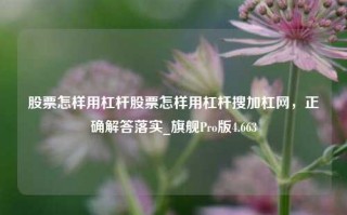 股票怎样用杠杆股票怎样用杠杆搜加杠网，正确解答落实_旗舰Pro版4.663