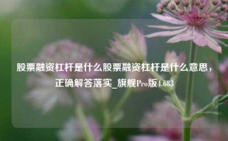 股票融资杠杆是什么股票融资杠杆是什么意思，正确解答落实_旗舰Pro版4.683