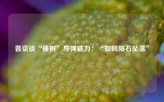 普京谈“榛树”导弹威力：“如同陨石坠落”