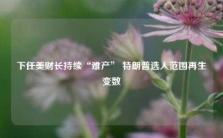 下任美财长持续“难产” 特朗普选人范围再生变数