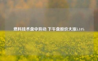 燃料技术盘中异动 下午盘股价大涨5.14%