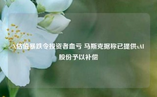 X估值暴跌令投资者血亏 马斯克据称已提供xAI股份予以补偿