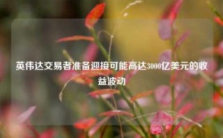 英伟达交易者准备迎接可能高达3000亿美元的收益波动