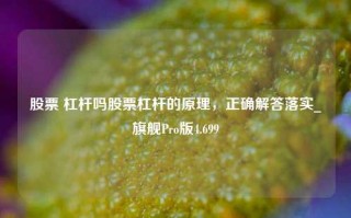 股票 杠杆吗股票杠杆的原理，正确解答落实_旗舰Pro版4.699