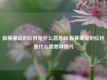 股票里说的杠杆是什么意思呀,股票里说的杠杆是什么意思呀图片