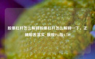 股票杠杆怎么解释股票杠杆怎么解释一下，正确解答落实_旗舰Pro版4.739