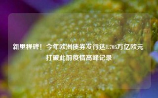 新里程碑！今年欧洲债券发行达1.705万亿欧元 打破此前疫情高峰记录