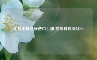 比特币概念股逆市上涨 嘉楠科技涨超9%