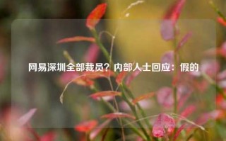 网易深圳全部裁员？内部人士回应：假的