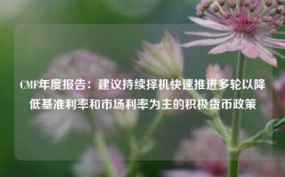 CMF年度报告：建议持续择机快速推进多轮以降低基准利率和市场利率为主的积极货币政策