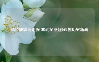 芯片股震荡走强 寒武纪涨超10%创历史新高