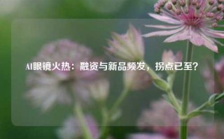 AI眼镜火热：融资与新品频发，拐点已至？