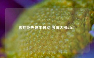 悦航阳光盘中异动 股价大涨6.56%