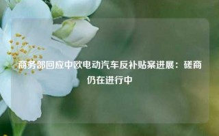 商务部回应中欧电动汽车反补贴案进展：磋商仍在进行中