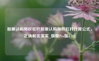 股票认购期权杠杆股票认购期权杠杆计算公式，正确解答落实_旗舰Pro版4.723