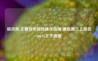 田洪良:主要货币短线操作指南 美指周三上涨在106.95之下遇阻