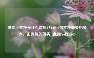 股票上杠杆是什么意思1万元10倍杠杆最多赔多少，正确解答落实_旗舰Pro版4.665