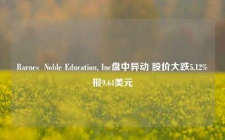 Barnes  Noble Education, Inc盘中异动 股价大跌5.12%报9.64美元