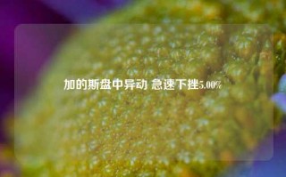 加的斯盘中异动 急速下挫5.00%