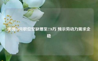 美国10月职位空缺增至770万 预示劳动力需求企稳