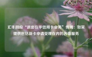 汇丰回应“退出在华信用卡业务”传闻：如常提供包括新卡申请受理在内的各项服务