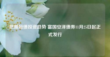 把握短债投资趋势 富国安泽债券11月25日起正式发行