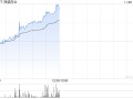 神威药业持续涨逾12% 公司首次中药配方颗粒集采产品全中标