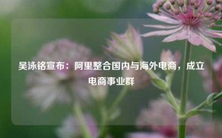 吴泳铭宣布：阿里整合国内与海外电商，成立电商事业群