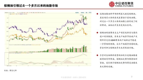 【月度策略】生物燃料前景担忧施压油脂，关注印尼棕榈油卖货情况-第4张图片-十倍杠杆-股票杠杆