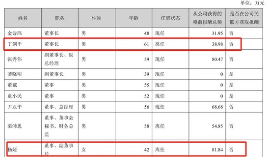 美女总经理带头财务造假,海伦哲索赔2.48亿-第3张图片-十倍杠杆-股票杠杆