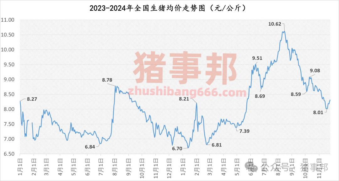 11月25日猪价汇总（涨势收窄，明日猪价或有变！）-第4张图片-十倍杠杆-股票杠杆