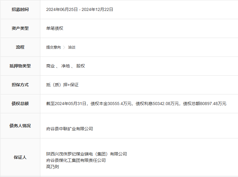 4.46亿元起拍！这个省“前首富”之子所持一煤矿股权将被拍卖-第6张图片-十倍杠杆-股票杠杆