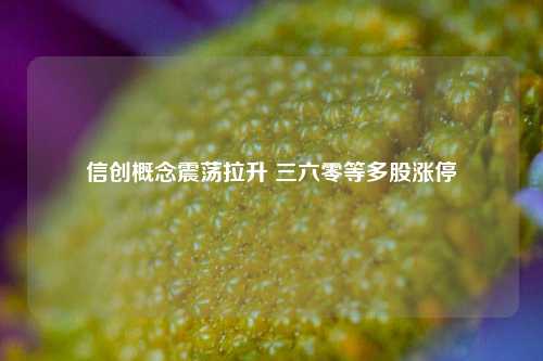 信创概念震荡拉升 三六零等多股涨停-第1张图片-十倍杠杆-股票杠杆