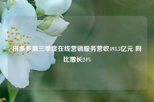 拼多多第三季度在线营销服务营收493.5亿元 同比增长24%-第1张图片-十倍杠杆-股票杠杆