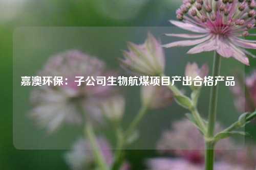 嘉澳环保：子公司生物航煤项目产出合格产品-第1张图片-十倍杠杆-股票杠杆