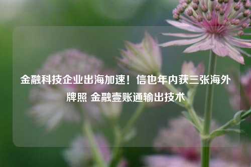 金融科技企业出海加速！信也年内获三张海外牌照 金融壹账通输出技术-第1张图片-十倍杠杆-股票杠杆