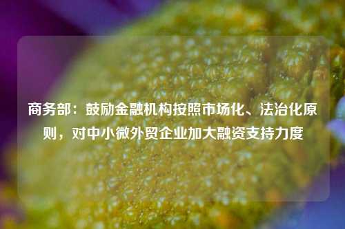 商务部：鼓励金融机构按照市场化、法治化原则，对中小微外贸企业加大融资支持力度-第1张图片-十倍杠杆-股票杠杆