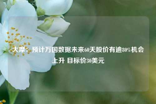 大摩：预计万国数据未来60天股价有逾80%机会上升 目标价30美元-第1张图片-十倍杠杆-股票杠杆